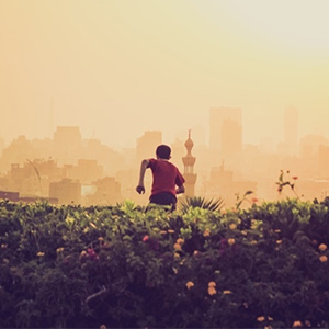 Do one thing every day that grows your online reputation
